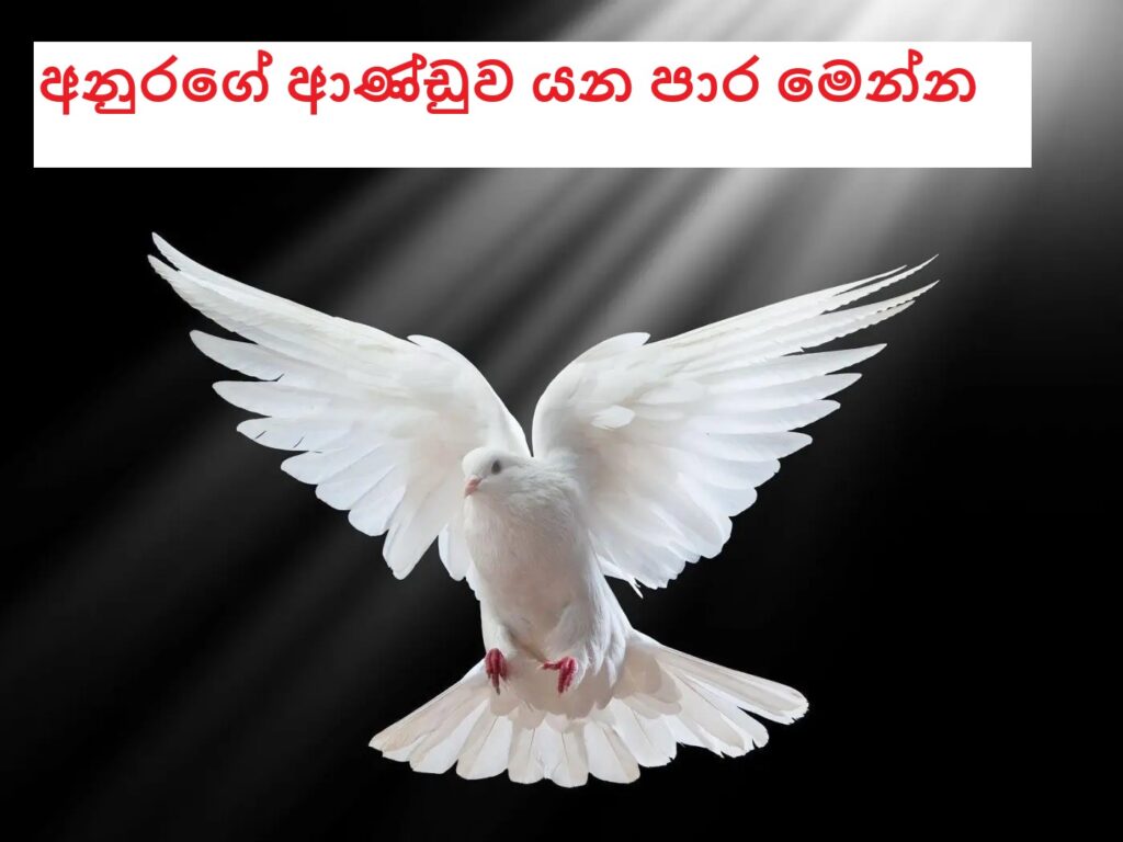 රටපුරා ම ආපන ශාලා හිමියන්ට දැනෙන්න ගංගොඩවිල මහේස්ත්රාත් අධිකරණ නියෝගයක්