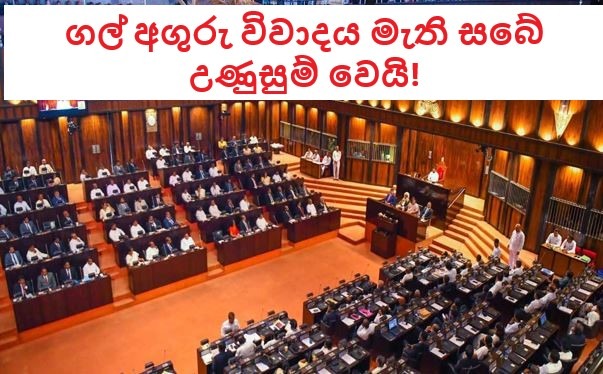 පාර්ලිමේන්තුව උණුසුම් කළ ගල් අඟුරු විවාදය මෙන්න!