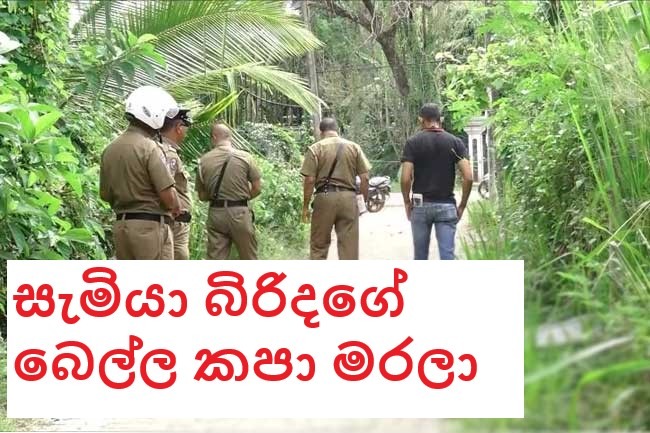 බිරිදගේ ගෙළ කපා අල්ලපු ගෙදර මිදුලේ හිස තබා පොලිසියට ගිය විශ්රාමික සෙබලෙක් මෙන්න කතාව!