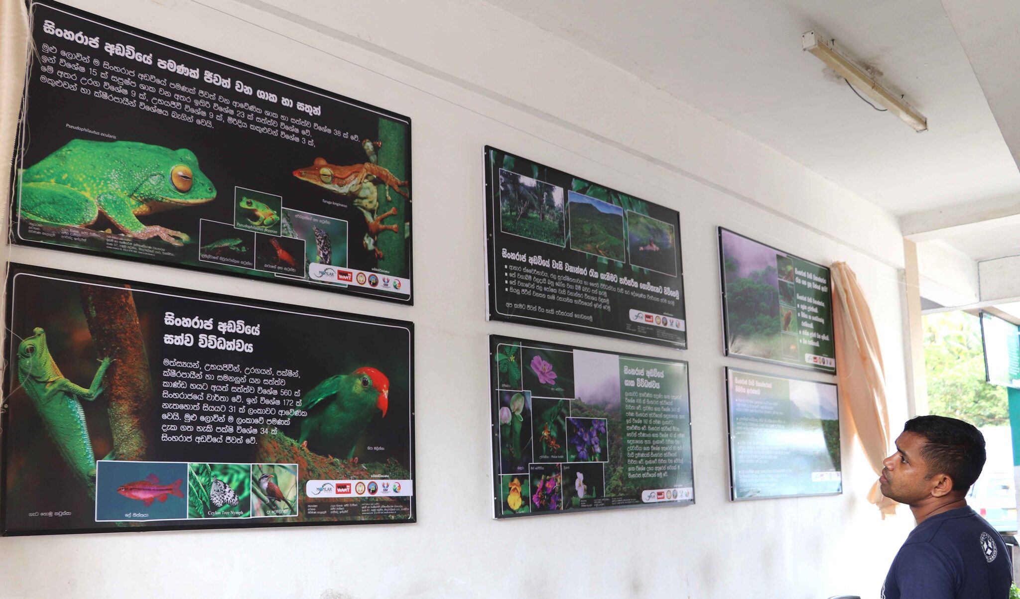 කලවාන බස් නැවතුම්පොළ සිංහරාජ තොරතුරු මධ්යස්ථානයක් වෙයි