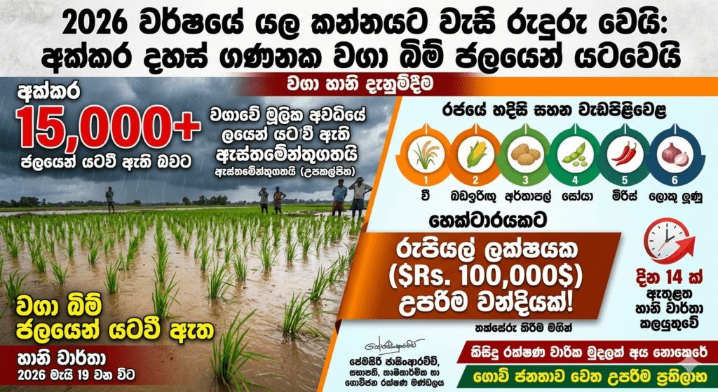 2026 යල කන්නයට වැසි රුදුරු වෙයි! අක්කර දහස් ගණනක වගා බිම් ජලයෙන් යටවෙයි – ගොවීන්ට හෙක්ටයාරයකට රුපියල් ලක්ෂයක උපරිම වන්දියක්!