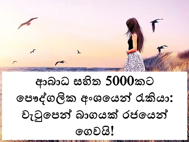 ආබාධ සහිත 5000කට පෞද්ගලික අංශයෙන් රැකියා: වැටුපෙන් බාගයක් රජයෙන් ගෙවයි!