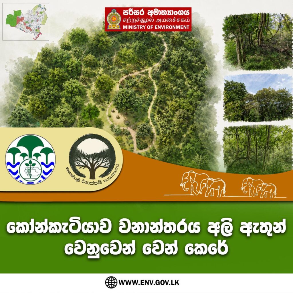 කෝන්කැටියාව වනාන්තරය අලි ඇතුන් වෙනුවෙන්…..🍀🍀🍀🍀