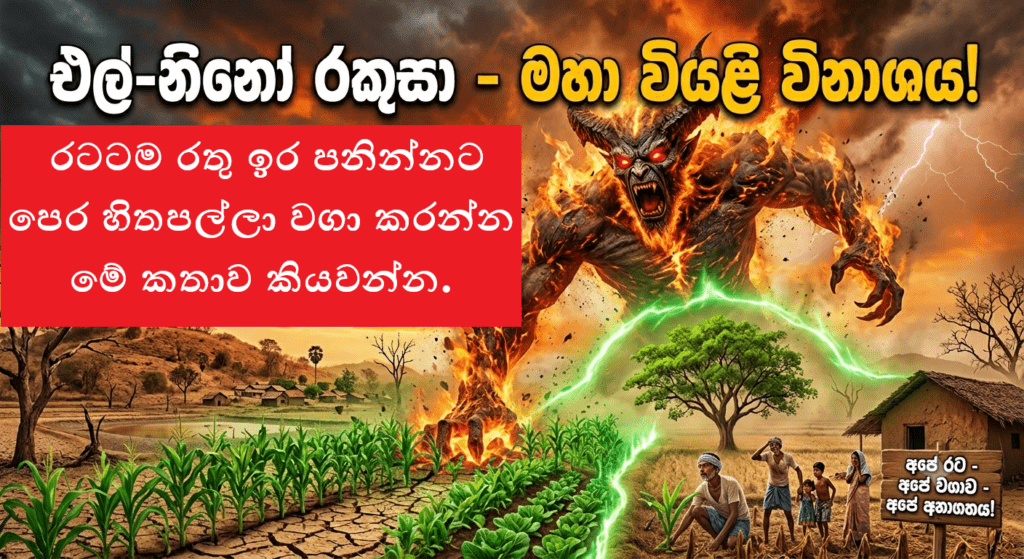 අපේ රට – අපේ වගාව – අපේ අනාගතය! යැයි රටටම රතු ඉර පනින්නට පෙර හිතපල්ලා වගා කරන්න මේ කතාව කියවන්න.