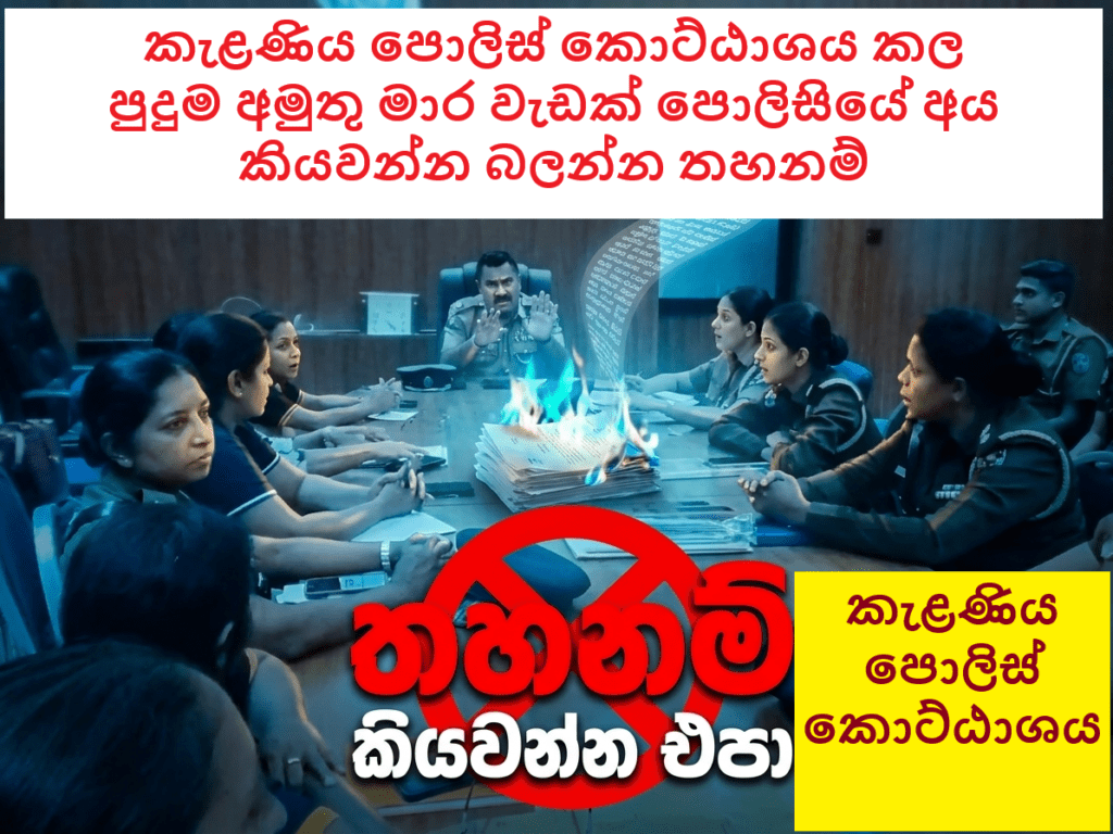 “කැළණි මිටියාවතේ මැලවෙන කැකුළු සුරකින්නට, නිලධාරීන් එක පෙළට!”
