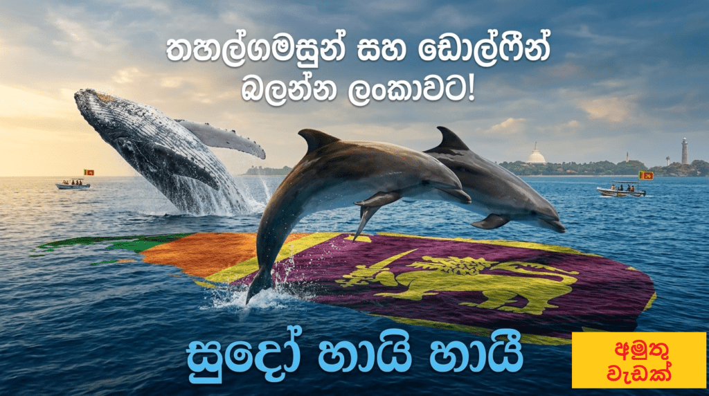 විජිත හේරත්ගේ ප්රධානත්වයෙන් ජනාධිපති කාර්යසාධක බලකාය රැස්වෙයි: ලංකාවේ සංචාරක ක්ෂේත්රයට දැවැන්ත සැලසුම් රැසක්!