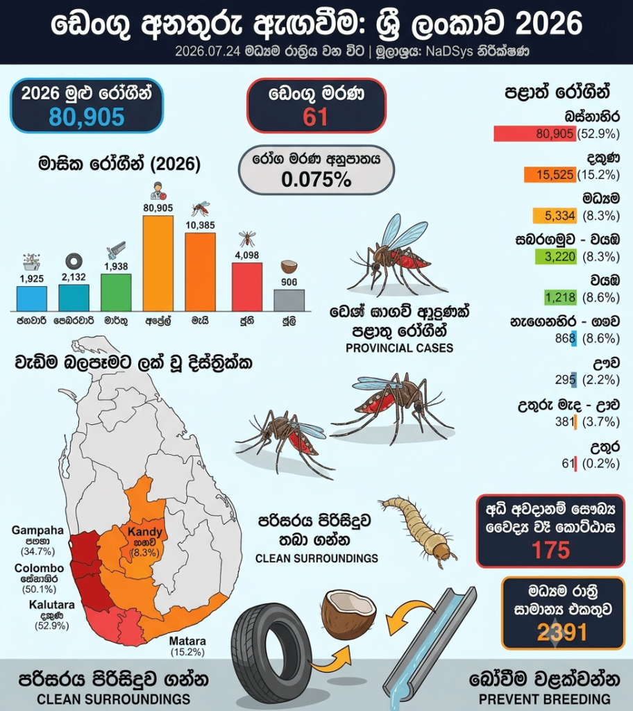 ඩෙංගු අවදානම දැඩි වෙයි: වසරේ මුල් මාස 7ට රෝගීන් 80,000 පනී, මරණ 61ක්!