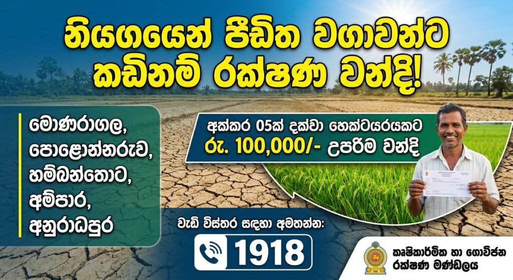 නියඟයෙන් විපතට පත් ගොවීන්ට කඩිනම් සහනයක්: අක්කරයකට රු. 100,000 දක්වා වන්දි!