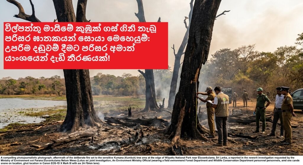 විල්පත්තු මායිමේ කුඹුක් ගස් ගිනි තැබූ පරිසර ඝාතකයන් සොයා මෙහෙයුම්: උපරිම දඬුවම් දීමට පරිසර අමාත්යාංශයෙන් දැඩි තීරණයක්!