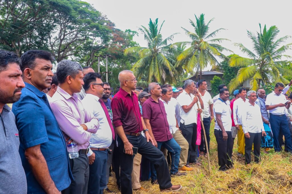 මහවැලි H කලාපයේ වප් මඟුල අස්වැන්නෙන් බරවෙයි: හෙක්ටයාරයකට මෙට්රික් ටොන් 12.5ක වාර්තාගත අස්වැන්නක් සමඟින් ‘පුනරුදයට අරුණලු’ සාර්ථකව ඉදිරියට
