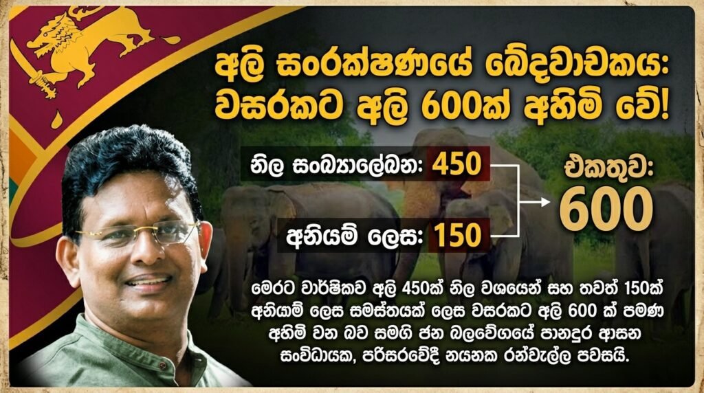 වසරකට අලි 600 ක් මිය යති!