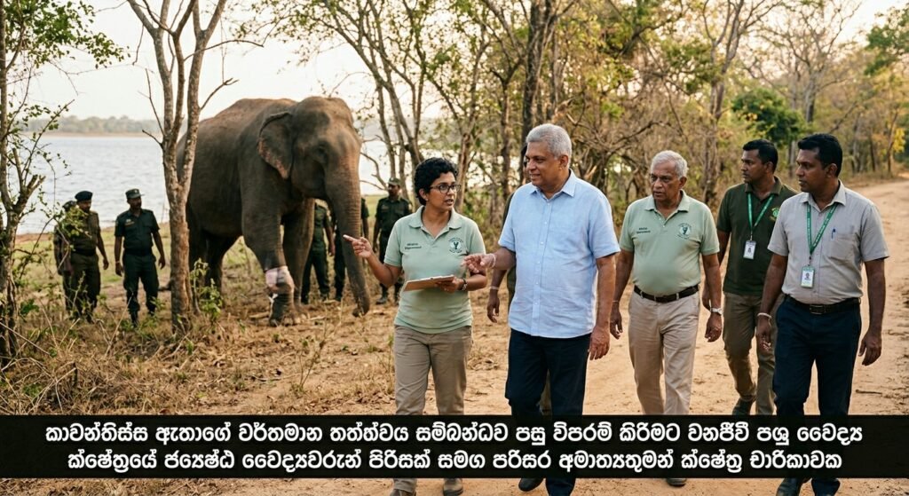 කාවන්තිස්ස ඇතාගේ සුවදුක් බැලීමට පරිසර අමාත්යතුමා ක්ෂේත්රයට!