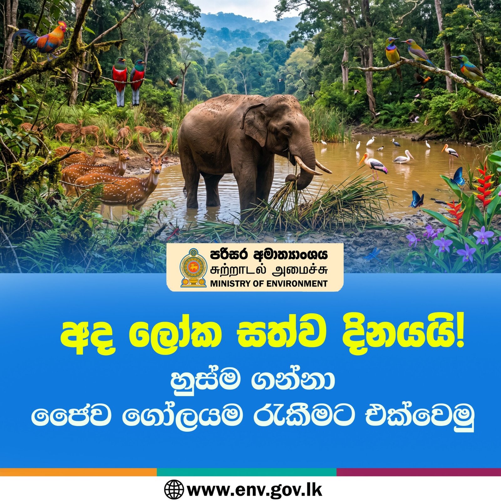 ලෝක සත්ව දිනයේ දී සොබාදහමේ සමස්ත හුස්මට රැකවරණය දෙන ජාතික ප්රතිඥාව